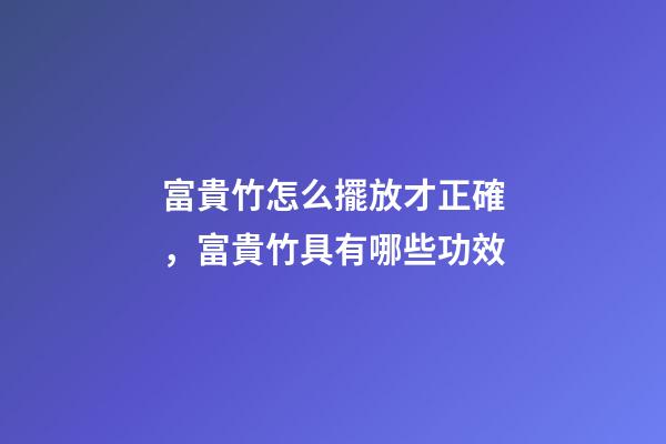 富貴竹怎么擺放才正確，富貴竹具有哪些功效